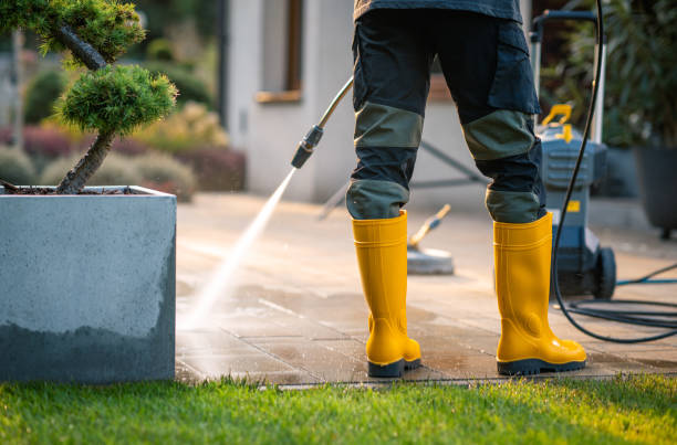 Best Exterior Home Cleaning  in Howland Center, OH